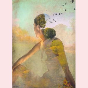 Postcard Catrin Welz-Stein - Summerdream