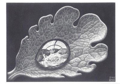 Museum Cards Postcard | M.C. Escher, Drop (Dewdrop)