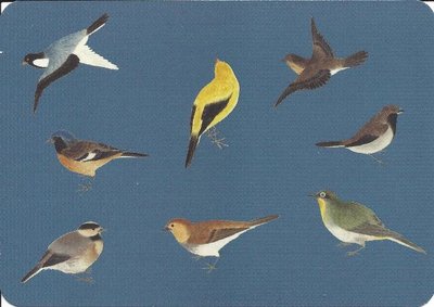 Postcard | Vogels, Philipp Franz von Siebold, Naturalis Biodiversity Center