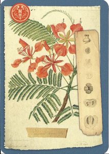 Postcard | Herbarium, Naturalis Biodiversity Center