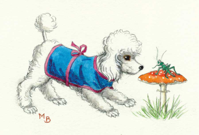 Postcard Molly Brett | Poodle looking at a grashopper on a toadstool