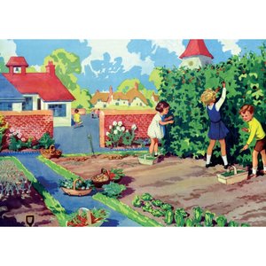 Postcard | The School Vegetable Garden