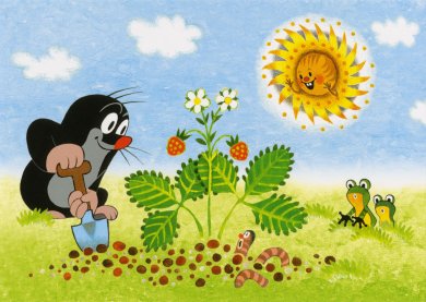 Postcard Krtek - Der kleine Maulwurf - The little mole digs a hole / plants strawberries