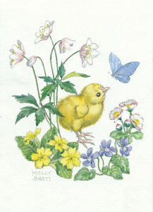 Postcard Molly Brett | Easter Chick