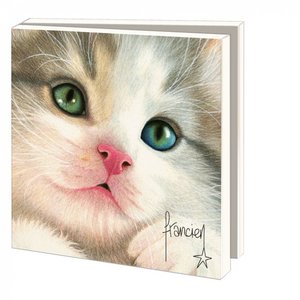 Kaartenmapje met enveloppen vierkant: Close up Franciens katten, Francien van Westering