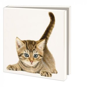 Kaartenmapje met enveloppen vierkant: Kittens, Francien van Westering