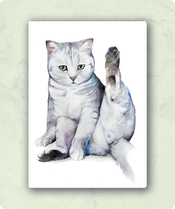 Organic Postcard - Watercolour Cat Washing