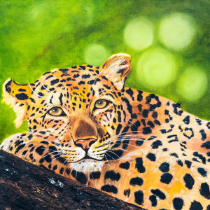 Postcard Jaguar - by Bianca Nikerk
