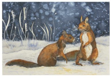 Postcard | Squirrels in the snow