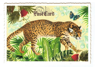 PK 983 Tausendschön Postcard | Jaguar