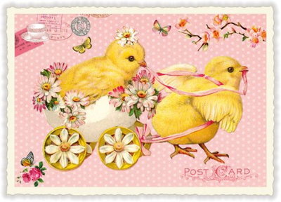 PK 993 Tausendschön Postcard | Chicks