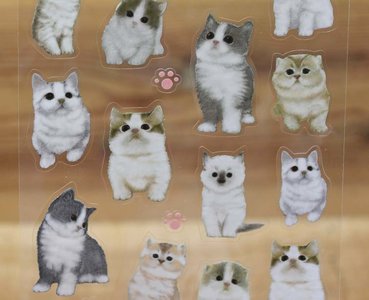 Dream CAT Stickers