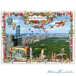 PK 1006 Tausendschön Postcard | USA - New York - Central Park