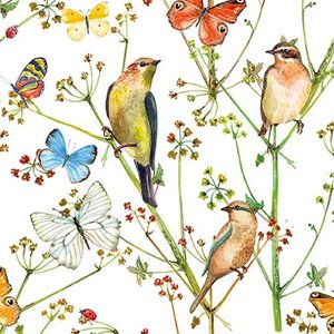Adobe Stock Postcard | birds and butterflies