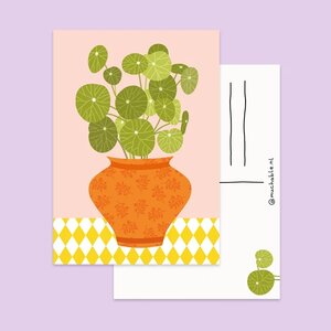 Pannenkoek plant Postcard by Muchable
