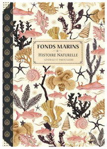 Illustrated notebook Gwenaëlle Trolez Créations - Fonds Marins
