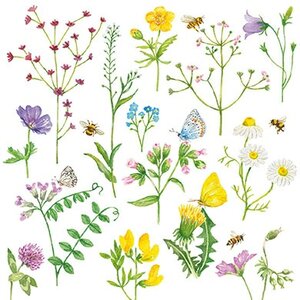 Carola Pabst Postcard | Summer flowers 