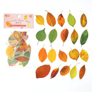 Sticker Flakes Sack | Leaves of Nature - Acuminate Leaves