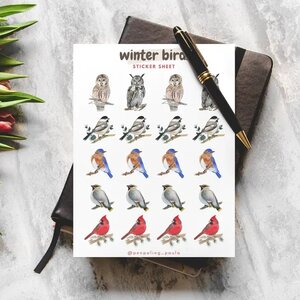 Winter Birds Sticker Sheet by Penpaling Paula