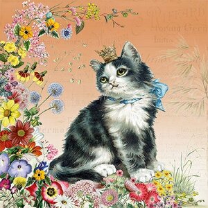 Barbara Behr - Auguri Postcard | Cat
