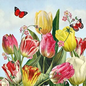 Barbara Behr - Auguri Postcard | Tulips