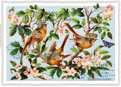 PK 1063 Tausendschön Postcard | Birds on branches