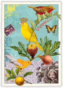 PK 375 Tausendschön Postcard | Birds