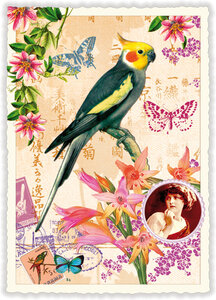 PK 376 Tausendschön Postcard | Papagei
