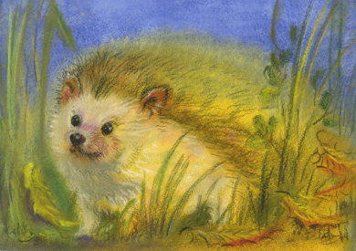 Postcard | The Little Hedgehog