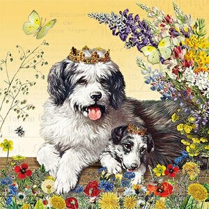 Barbara Behr - Auguri Postcard | dogs