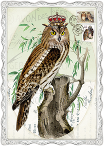 Auguri by Barbara Behr Glitter Postcard | Owl