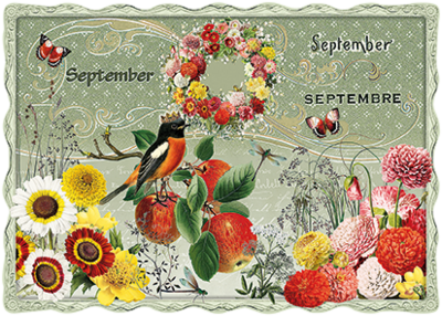 Auguri by Barbara Behr Glitter Postcard | September, September, Septembre