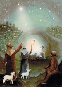 Postcard Bijdehansje | Star of Bethlehem