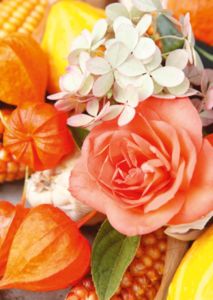 Postcard | Autumn decoration with rose and physalis