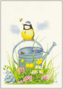Postcard | Blue tit on the watering can