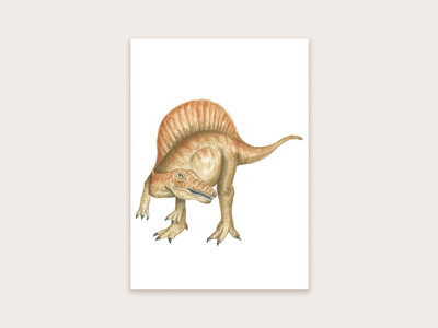 Postcard Spinosaurus - Appeloogje