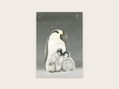 Postcard pinguïns donker - Appeloogje