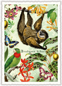 PK 1121 Tausendschön Postcard | Wildlife-Edition, Faultier - Sloth 