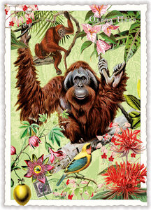 PK 1122 Tausendschön Postcard | Wildlife-Edition, Orang-Utan - Orangutan
