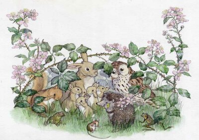 Postcard Molly Brett | Tom Tit Moves House