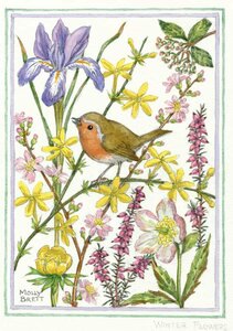 Postcard Molly Brett | Winter Flowers