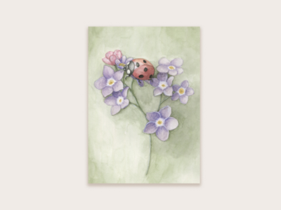 Postcard lieveheersbeestje met bloemen - Appeloogje