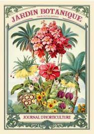 Postcard Gwenaëlle Trolez Créations - Jardin Botanique