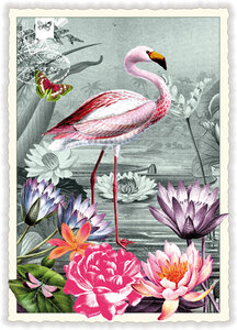 PK 404 Tausendschön Postcard | Flamingo