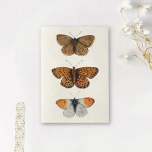Postcard Art by Meer | Vlinders