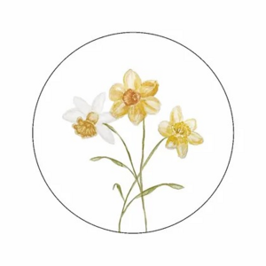 6x Sticker Narcissen by Art by Meer