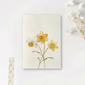 Postcard Art by Meer | Narcis