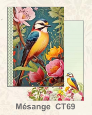 Illustrated little notebook Gwenaëlle Trolez Créations - Mésange