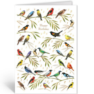 Greeting Card Quire - Happy Birthday Birds