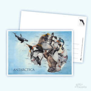 Postcard Beast of Paradise | Antarctica, Wildlife Card